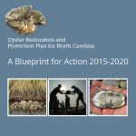 NC Oyster Plan 16